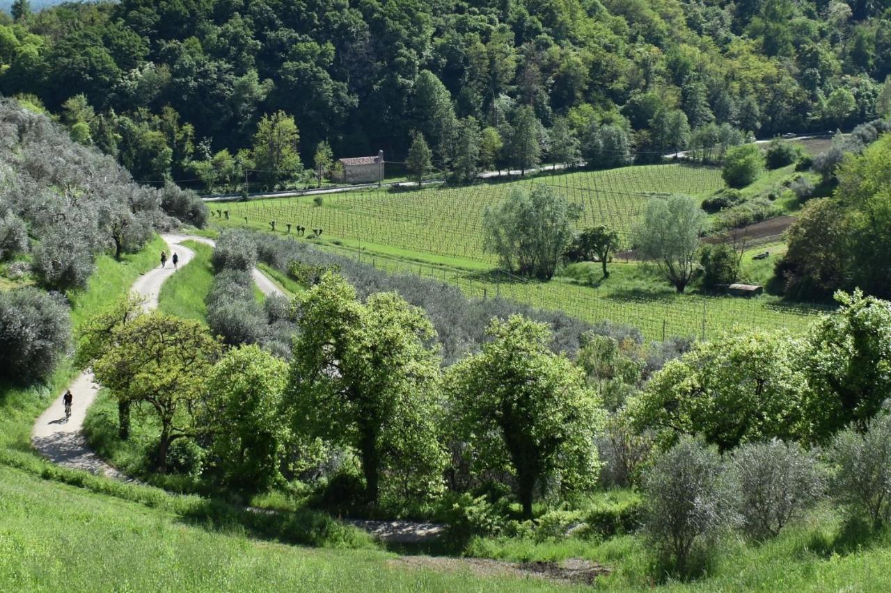 Lovi Bassano del Grappa